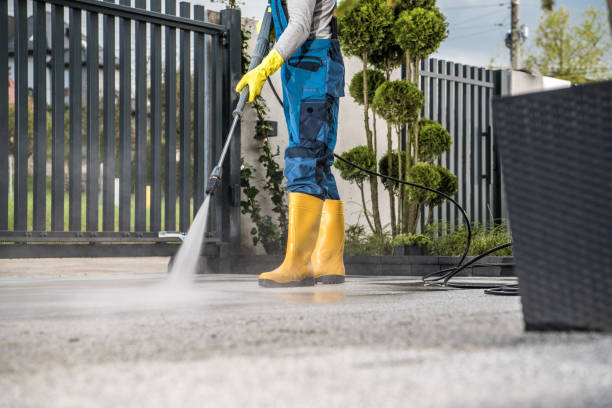 Reliable Rantoul, IL Pressure washing Solutions